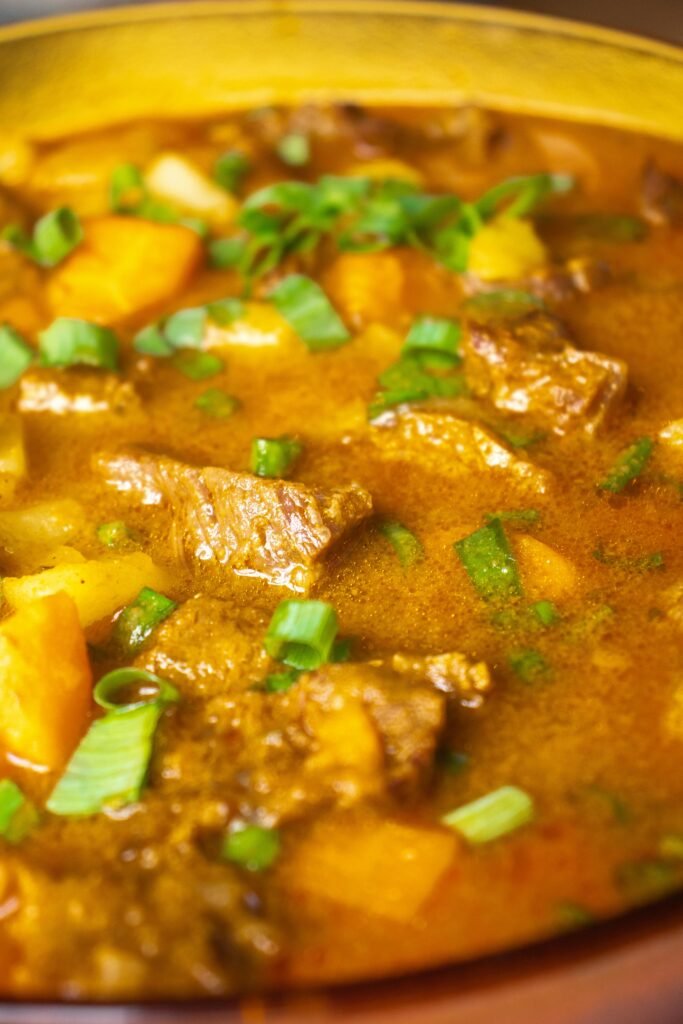 Hearty beef stew with potatoes and green onions, showcasing Brazilian flavors.